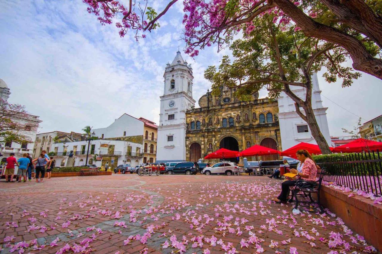 Amazing Suite In Casco Antiguo مدينة باناما المظهر الخارجي الصورة